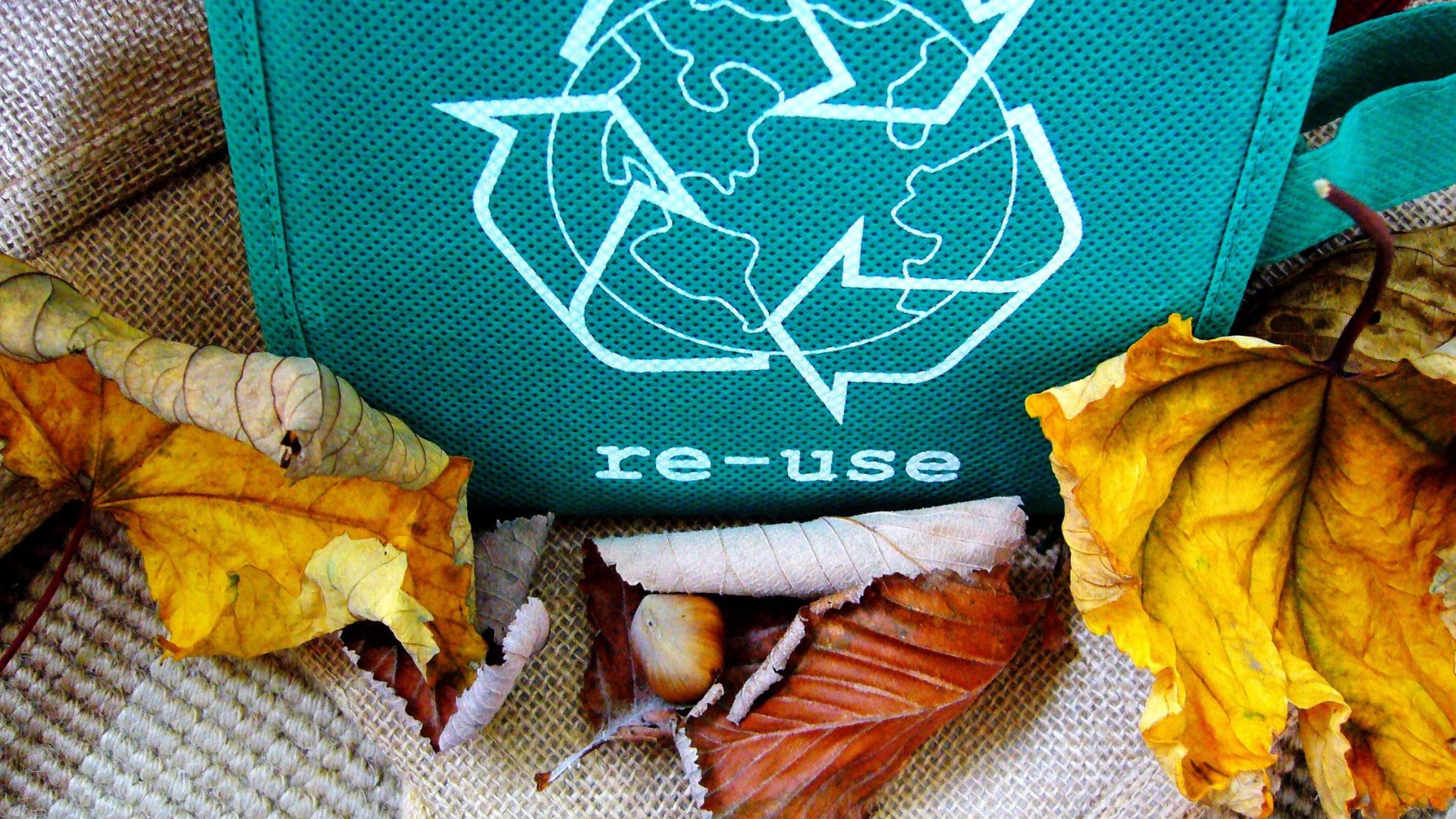 Recycling logo on green bag with autumn leaves, emphasizing re-use concept